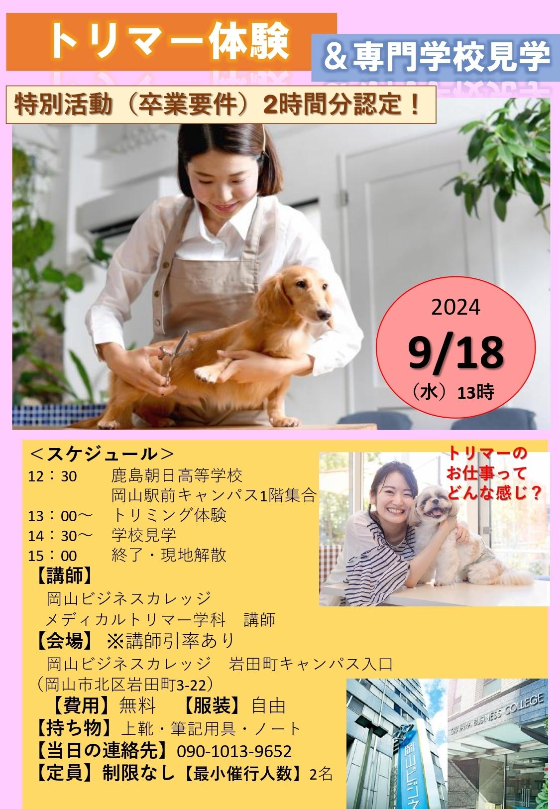 トリマー体験
